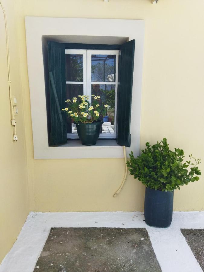 Rodia Διαμέρισμα Κυνοπιάστες Εξωτερικό φωτογραφία