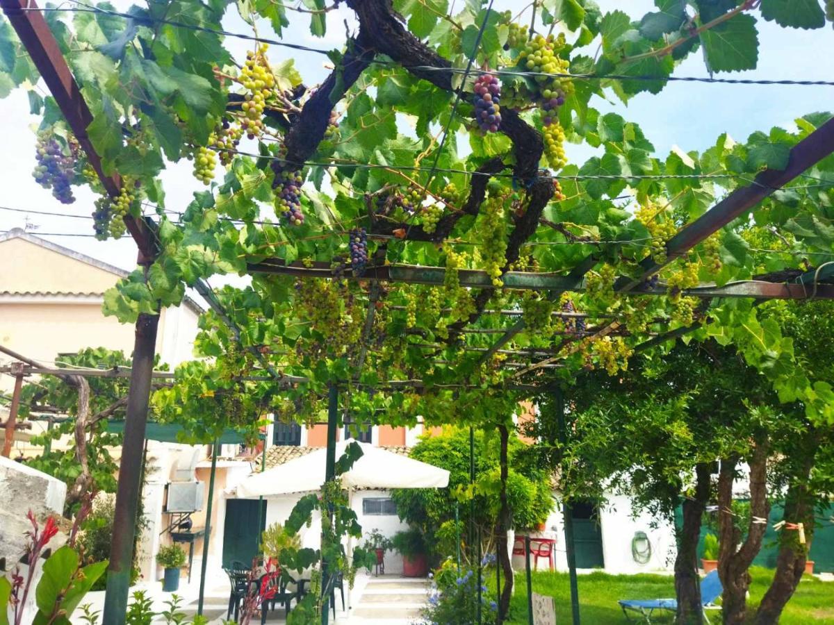 Rodia Διαμέρισμα Κυνοπιάστες Εξωτερικό φωτογραφία